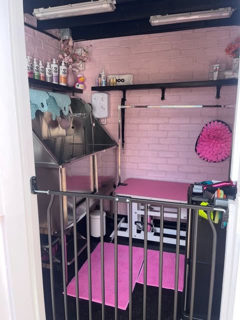 Professional grooming station